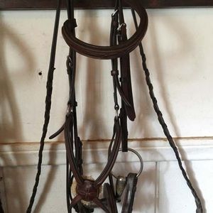 Edgewood bridle